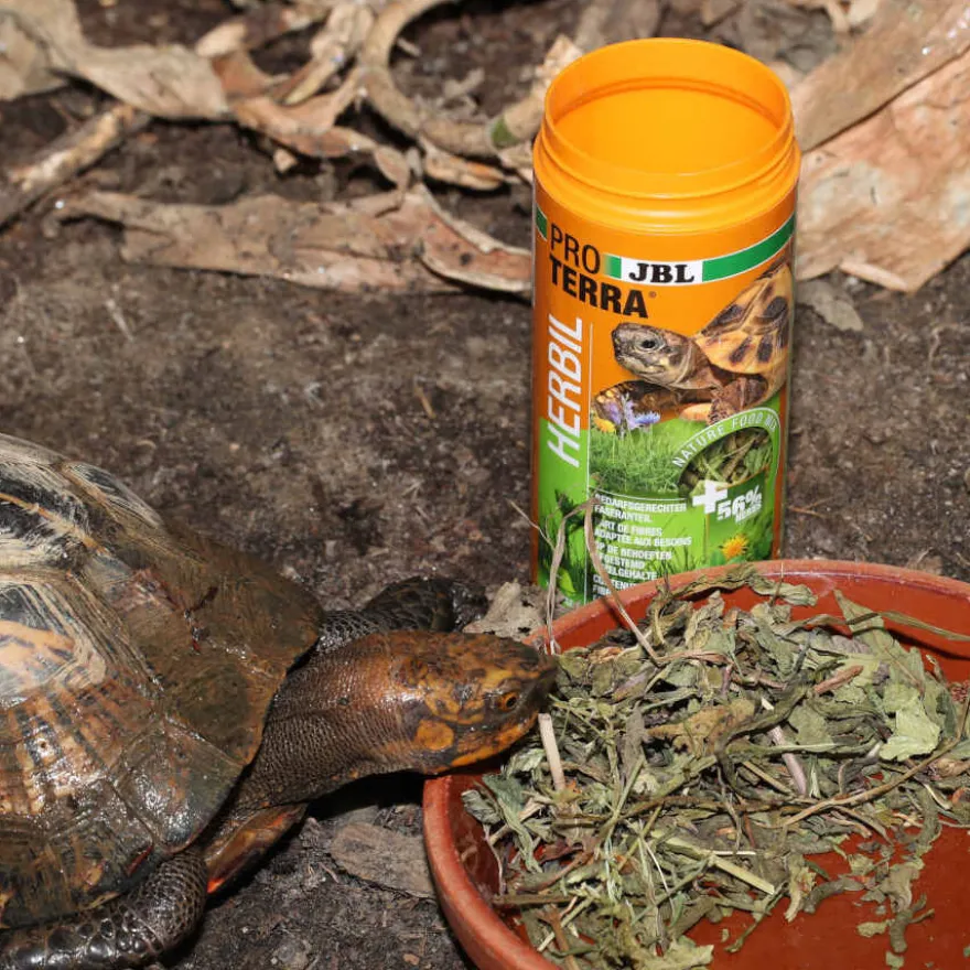 JBL Proterra Herbil alimento para tortugas