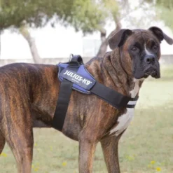 Julius K-9 IDC Arnés Azul para perros