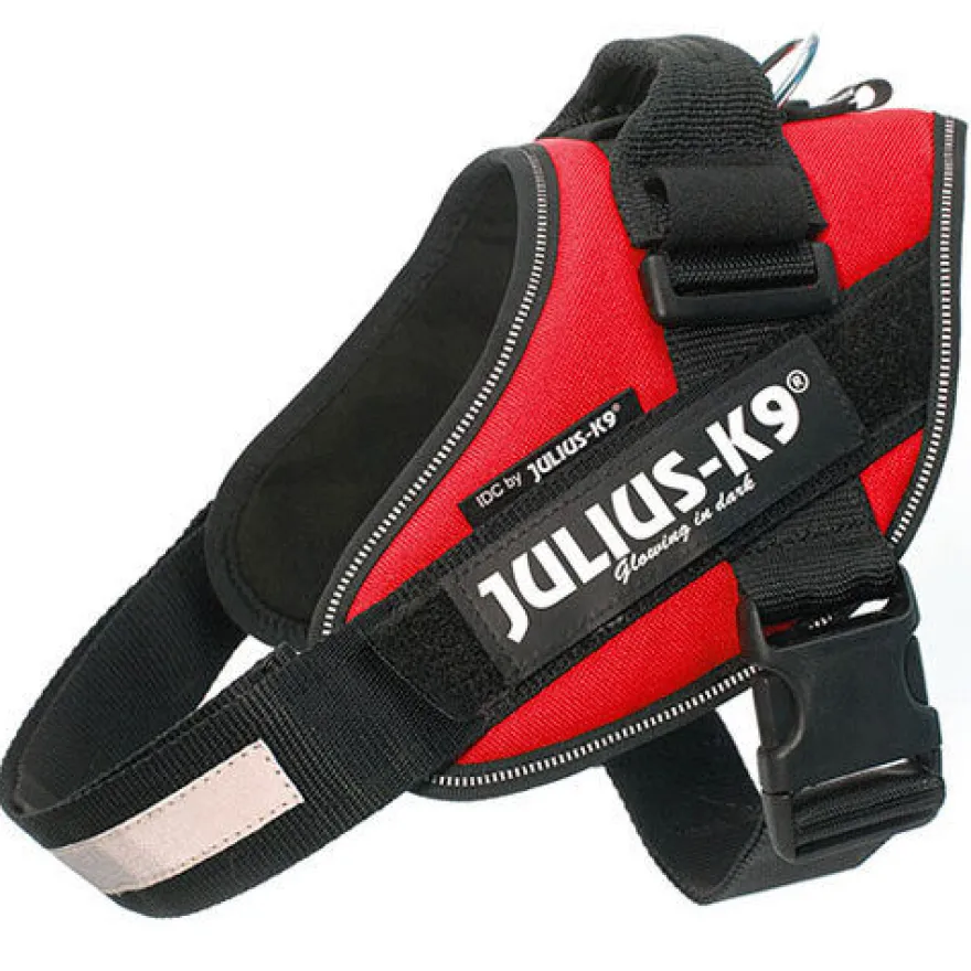 Julius-K9 IDC Arnés Ergonómigo Rojo para perros