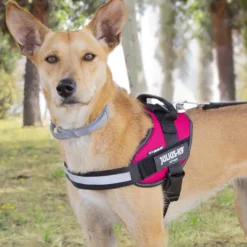 Julius K-9 IDC Arnés Magenta para perros