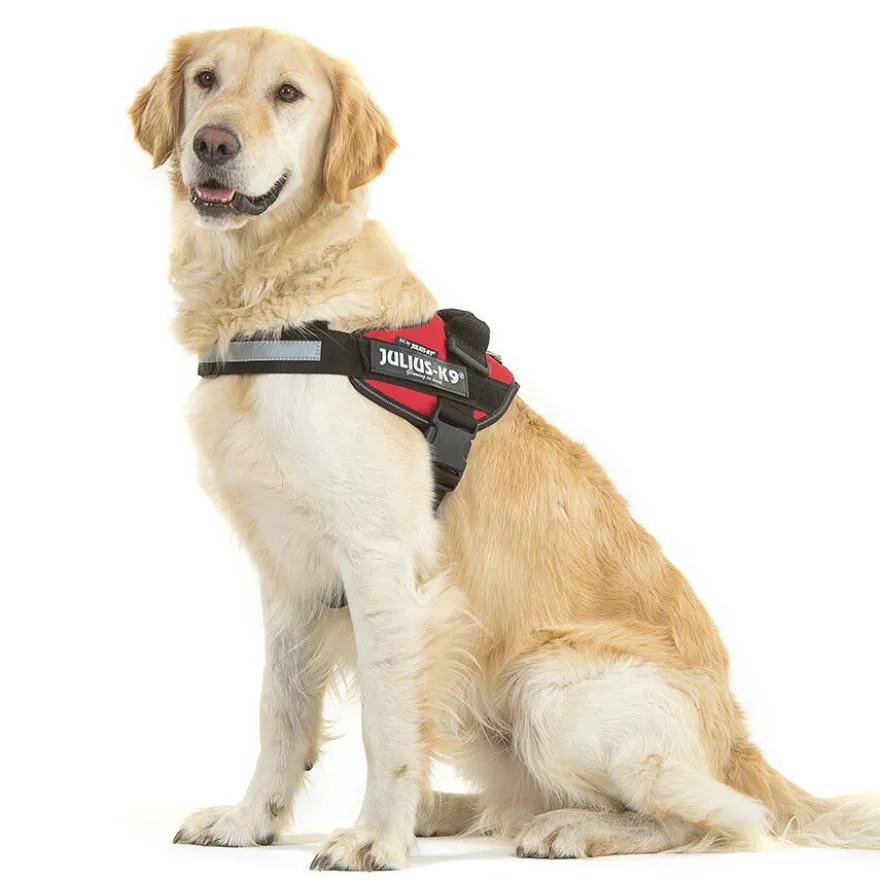 Julius-K9 IDC Arnés Rojo para perros