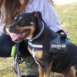 Julius K-9 IDC Arnés Verde para perros