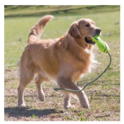 Kong Air Dog Squeaker Stick de juguete para perros