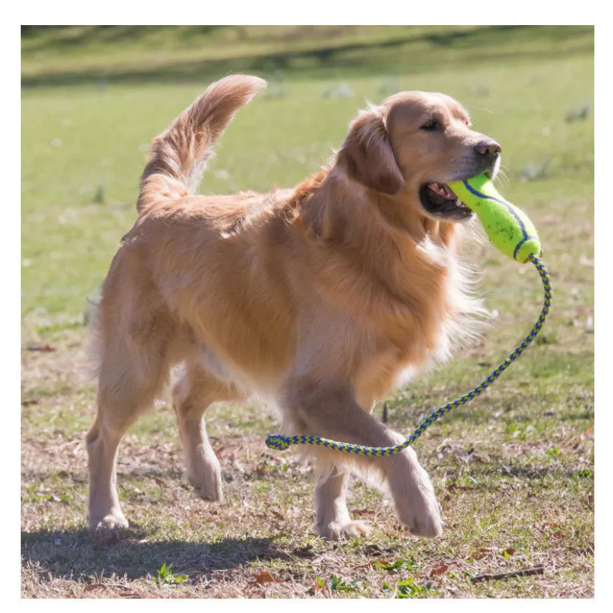 Kong Air Dog Squeaker Stick de juguete para perros