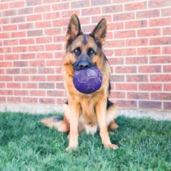 Kong Flexball Pelota para perros