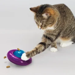 Kong Gyro Infused Portagolosinas para gatos