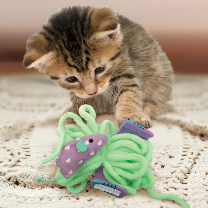 Kong Pull-A-Partz Yarnz Juguete 3 en 1 para gatitos