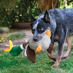 Kong Shakers Honkers Pato de peluche para perros