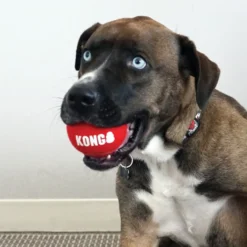 Kong Signature Sport 2-PK Pelotas de tenis para perros