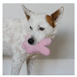 Kong Snuzzles Kiddos Conejo de peluche para cachorros