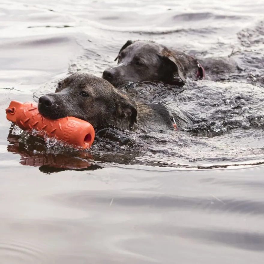 Kong Training Dummy cilindro de juguete para perros