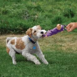 Kong Tugger Knots Rana con cuerda de peluche para perros