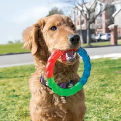 Kong Twistz Anillo mordedor para perros