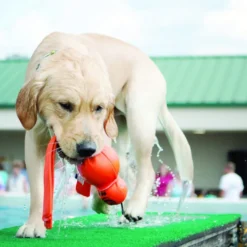 Kong Wubba Acuático juguete para perros