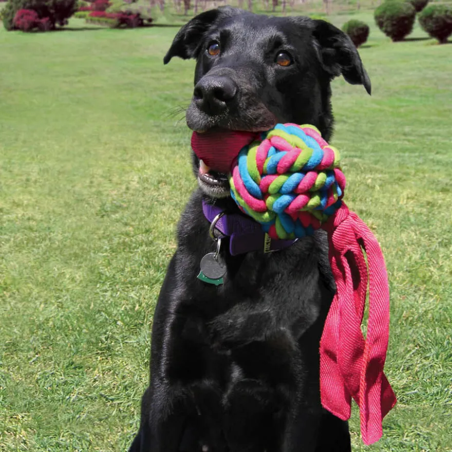 Kong Wubba Waves mordedor para perros
