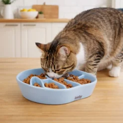 Leeby Comedero Antivoracidad de Cerámica para gatos