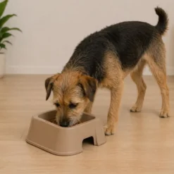 Leeby Comedero Cuadrado Taupe para perros