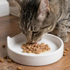 Leeby Comedero de Cerámica Blanco con Orejitas para gatos