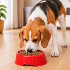 Leeby Comedero de Plástico Rojo para perros y gatos