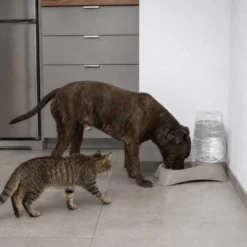 Leeby Tolva Dispensador de Agua para perros y gatos
