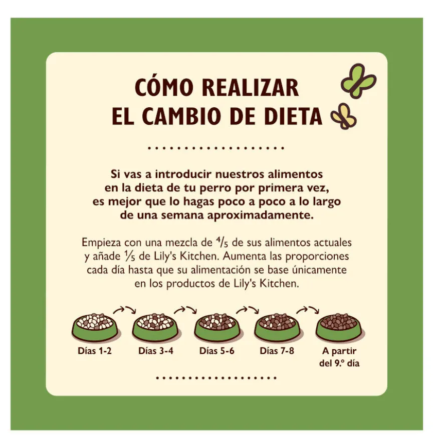 Lily's Kitchen Adult Cordero pienso para perros