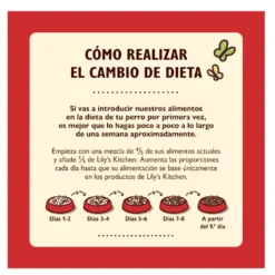 Lily's Kitchen Adult Ternera pienso para perros
