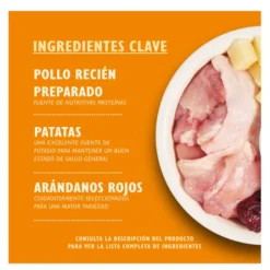 Lily's Kitchen Grain Free Pollo pienso para gatos