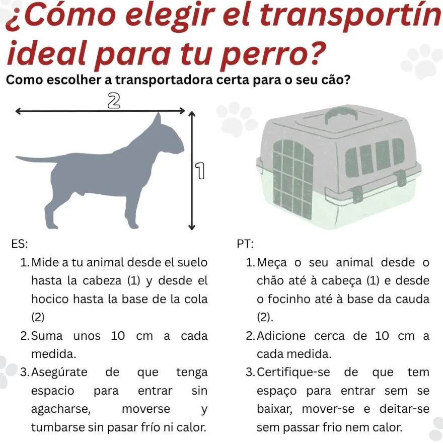 Moderna Odyssey Transportín con Entrada Doble para perros y gatos