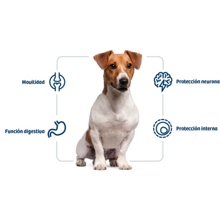 Nath Adult Mini Pollo pienso para perros