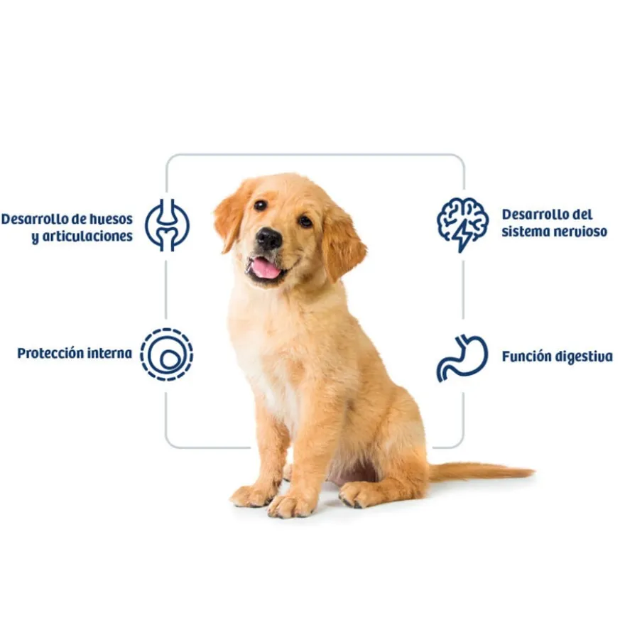 Nath Puppy Medium Maxi Pollo Pienso para Perros