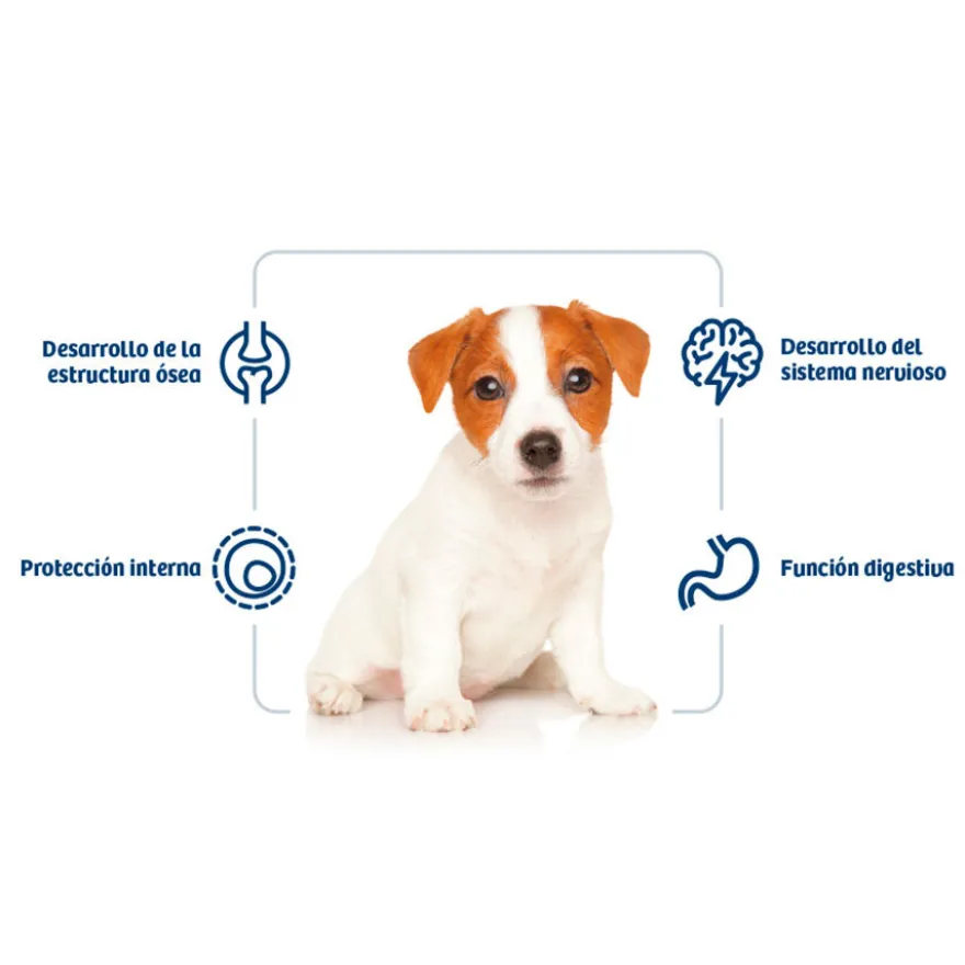 Nath Puppy Mini Pollo pienso para perros