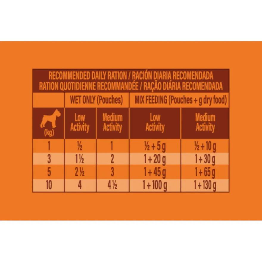 Nature's Variety Original Mini Adult Variety pavo sobre para perros