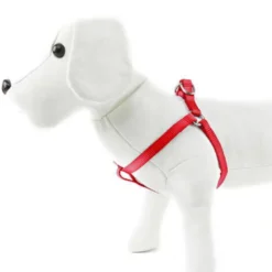 Nayeco Basic Arnés Rojo para perros
