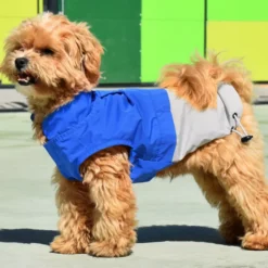 Nayeco X-TRM Chubasquero Azul y Gris para perros