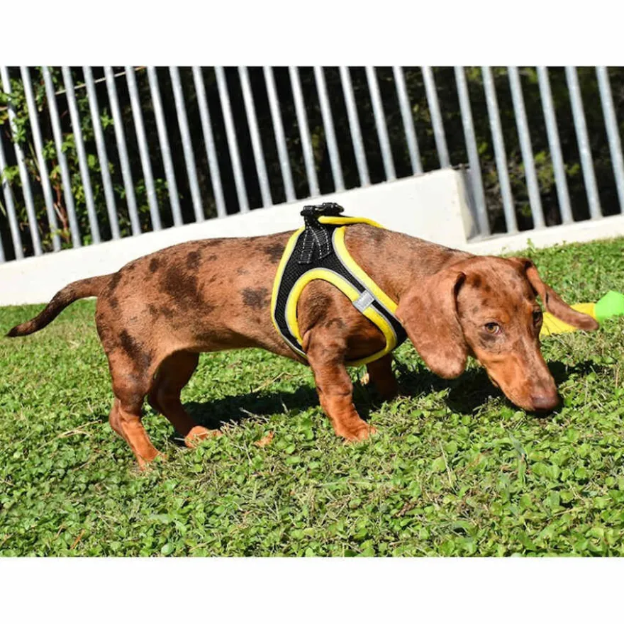 Nayeco X-TRM Neo Negro arnés para perros