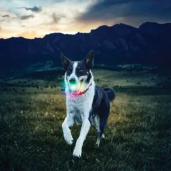 Nite Ize Glowstreak Disc-O LED Pelota para perros