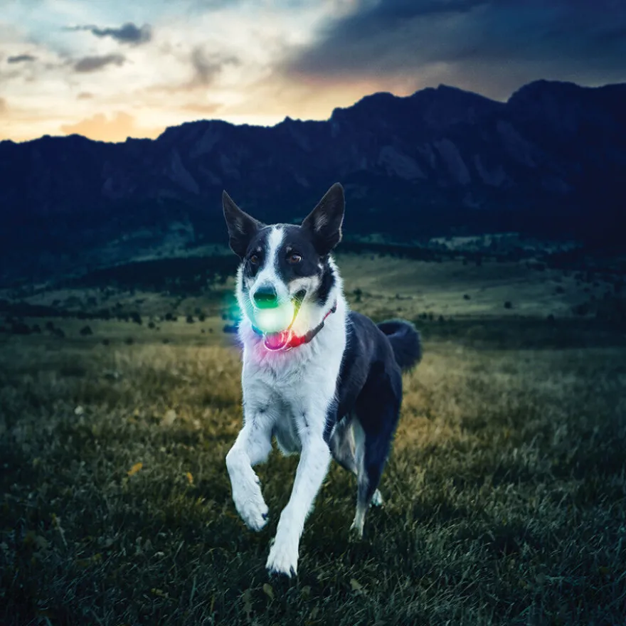 Nite Ize Glowstreak Disc-O LED Pelota para perros