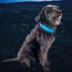 Nite Ize NiteDog Banda LED Recargable para perros