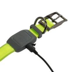 Nite Ize NiteDog Collar Led Recargable Verde para perros