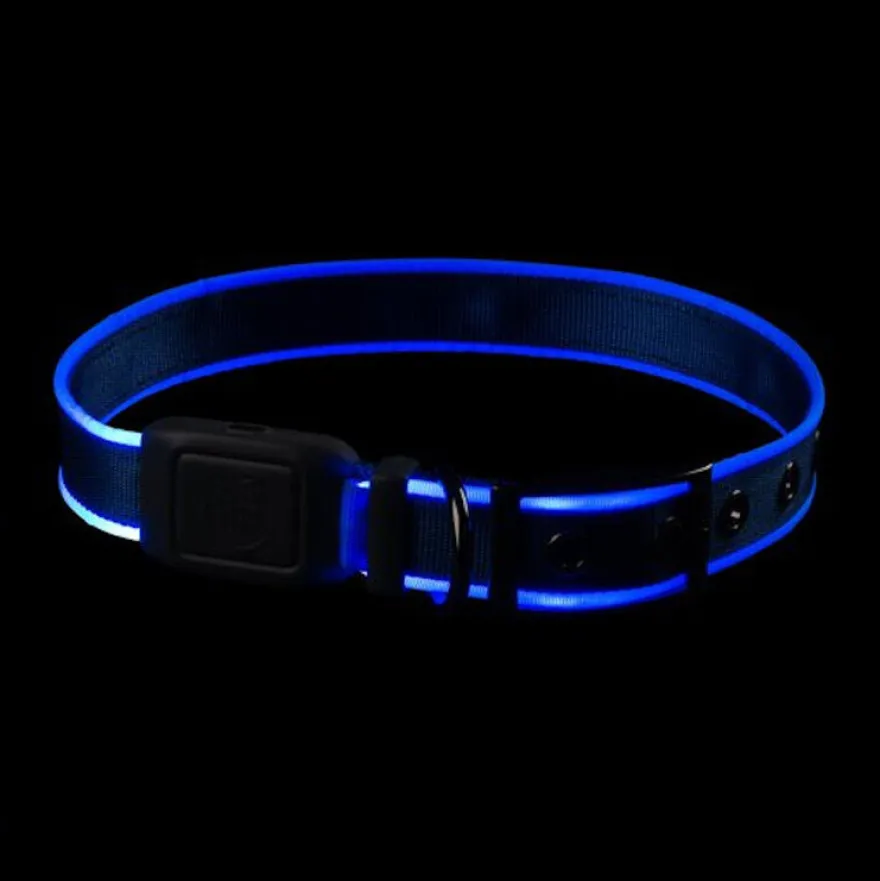 Nite Ize NiteDog Collar LED Recargable Azul para perros