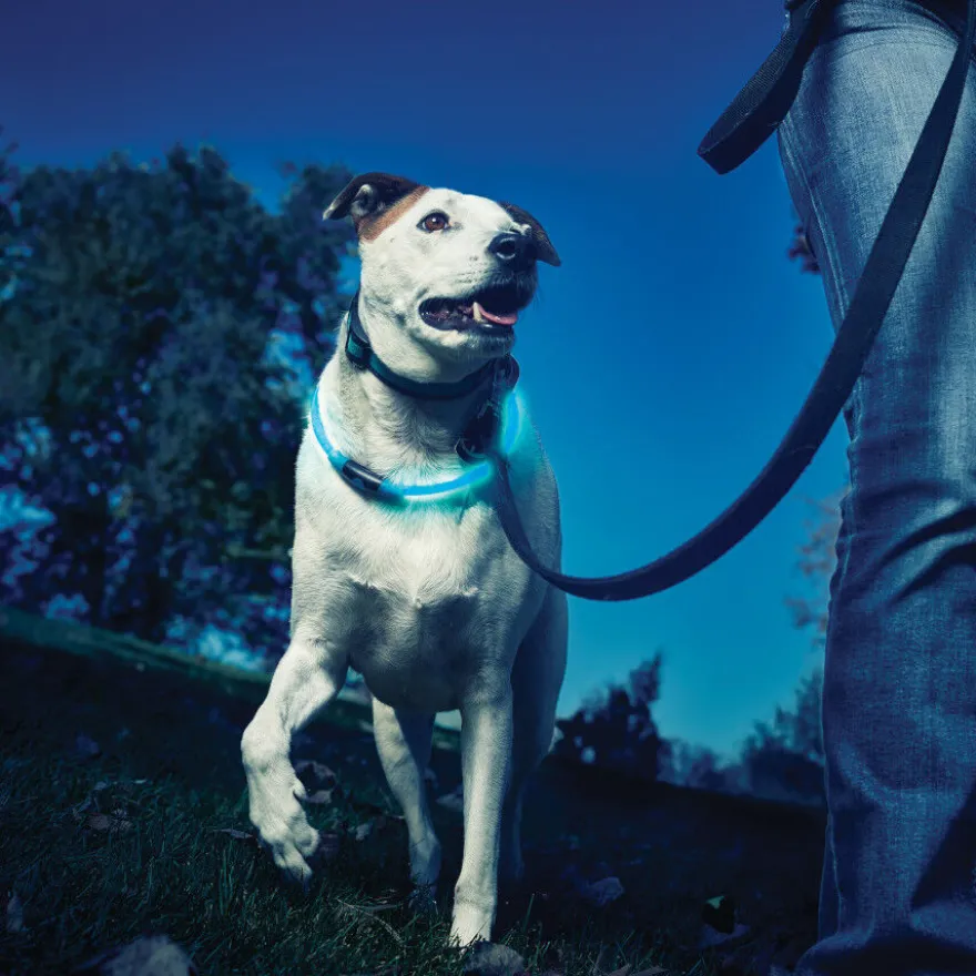 Nite Ize NiteHowl Collar con Luz LED Azul para perros