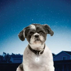 Nite Ize PetLit Luz LED Blanca con mosquetón para collar para perros