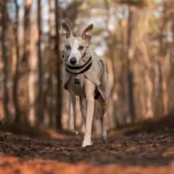 Non-stop Dogwear Abrigo de Lana Color Arena para perros