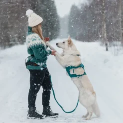 Non-stop Dogwear Arnés Largo Azul y Verde para perros