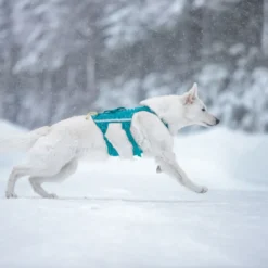 Non-stop Dogwear Arnés Largo Azul y Verde para perros