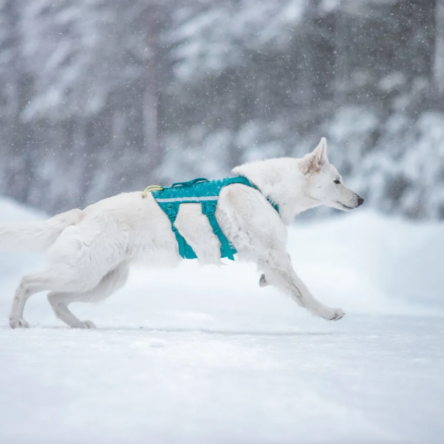 Non-stop Dogwear Arnés Largo Azul y Verde para perros