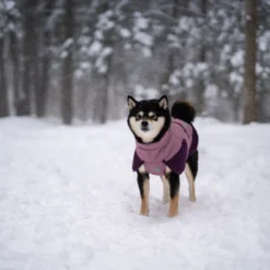 Non-stop Dogwear Chaqueta Malva para perros
