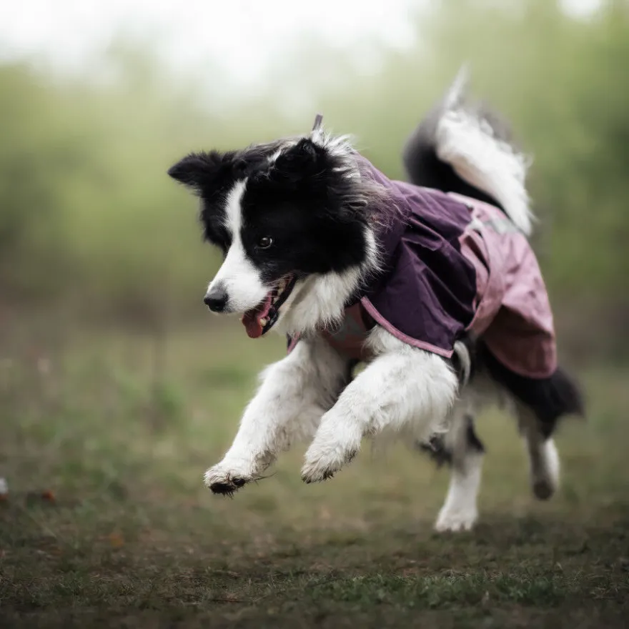 Non-stop Dogwear Chubasquero Impermeable Malva para perros