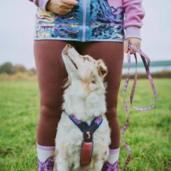 Non-stop Dogwear Correa Morado y Rosa para perros