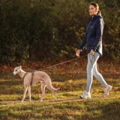 Non-stop Dogwear Correa Turquesa y Roble para perros